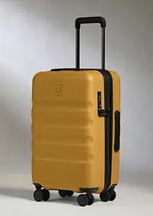 Expandable Carry-On Luggage In Mustard Yellow - Icon Stripe