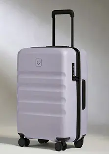 Large Carry-On Luggage In Meadow Purple - Icon Stripe