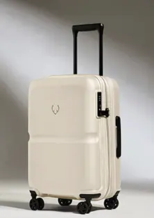 Expandable Carry-On Luggage In Wheat Beige - Single Stripe