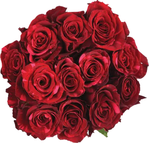 Flower Bouquet Red Roses 1 Dozen